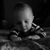 matthewtanis